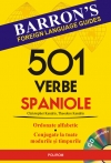 501 verbe spaniole
